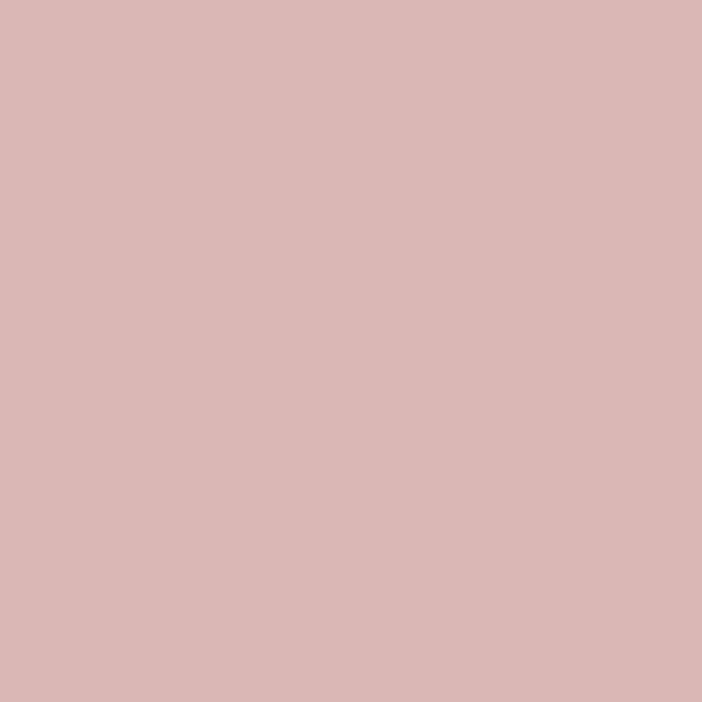 Sanderson Active Emulsion Tester Pot, Pinks, French Rose, 0.125L