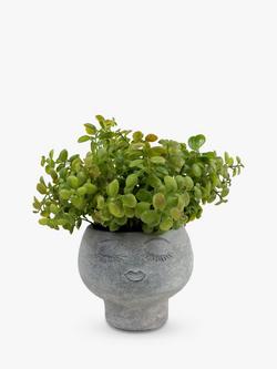 John Lewis Artificial Eucalyptus Bush in Stone Planter, 