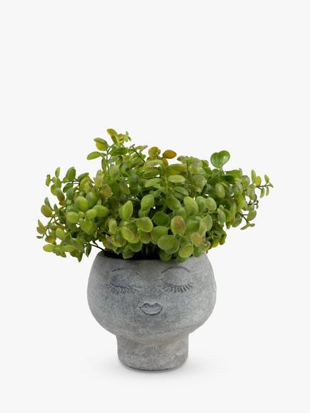 John Lewis Artificial Eucalyptus Bush in Stone Planter, 