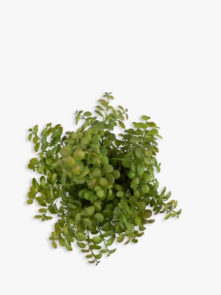 John Lewis Artificial Eucalyptus Bush in Stone Planter - view 2, 