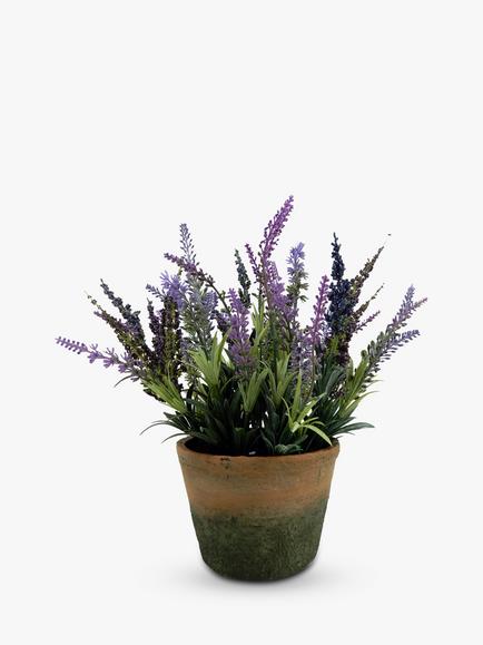 John Lewis Artificial Lavender in Cement Planter, Multi