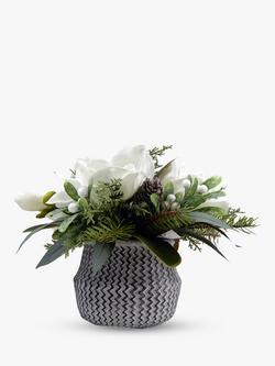 John Lewis Artificial Magnolia Pine Cone in Cement Planter, 