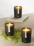 Aery Botanical Scented Candles, Set of 3