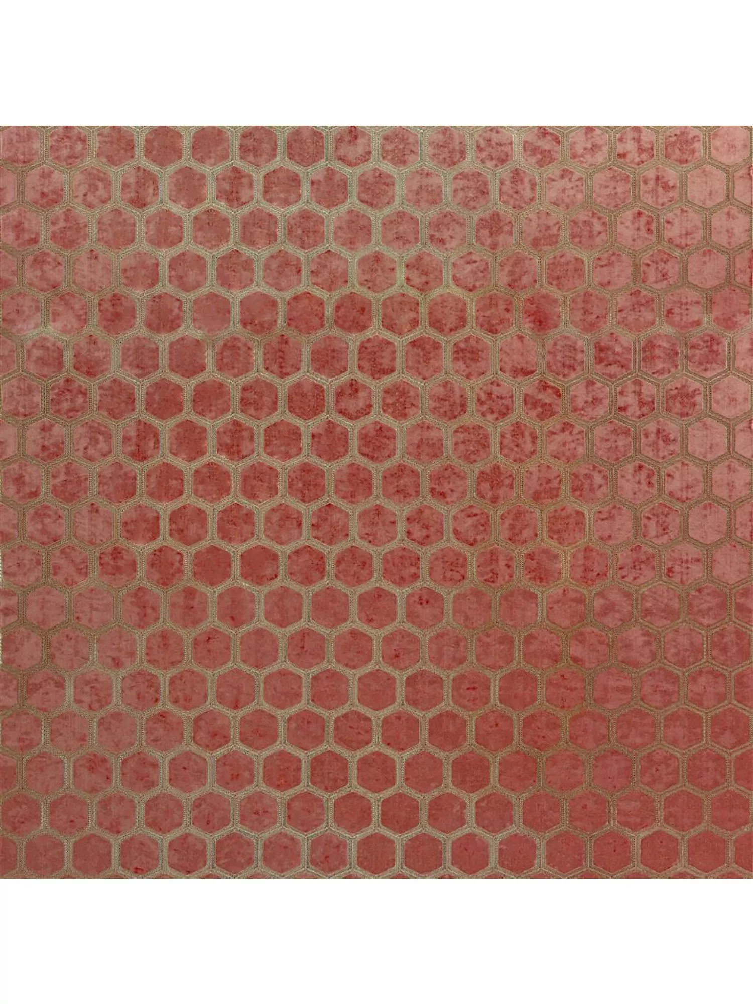 Coral  - Out of stock