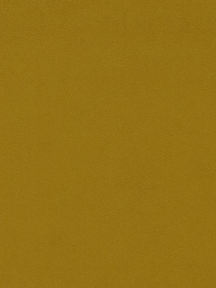 Sanderson Dorton Furnishing Fabric, Olive