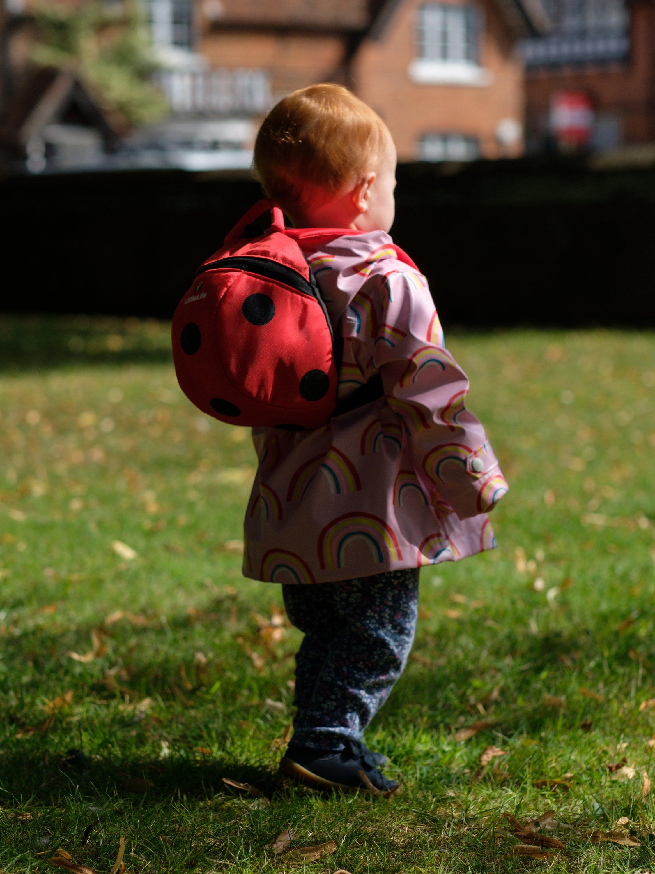 Little life backpack ladybird hotsell