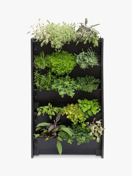 The Little Botanical 20 Herbs Living Wall, Multi