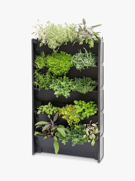 The Little Botanical 20 Herbs Living Wall - view 2, Multi