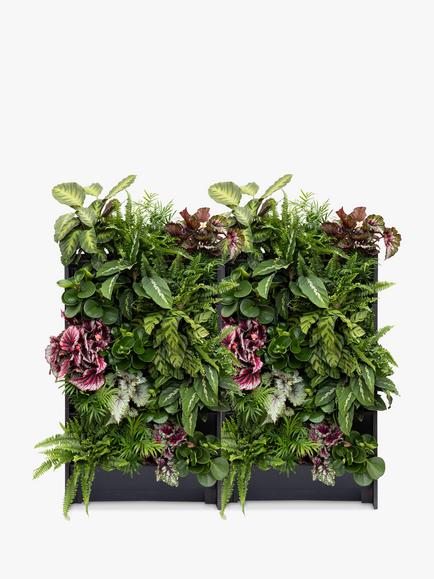 The Little Botanical 40 Indoor House Plants Living Wall, Multi