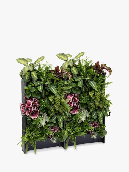 The Little Botanical 40 Indoor House Plants Living Wall - view 2, Multi