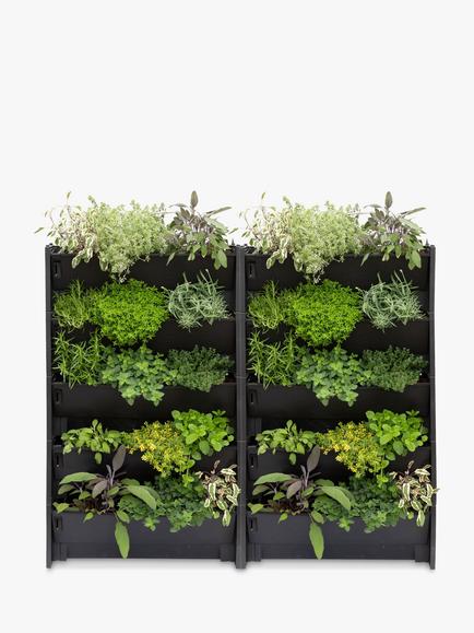 The Little Botanical 40 Herbs Outdoor Living Wall, Multi