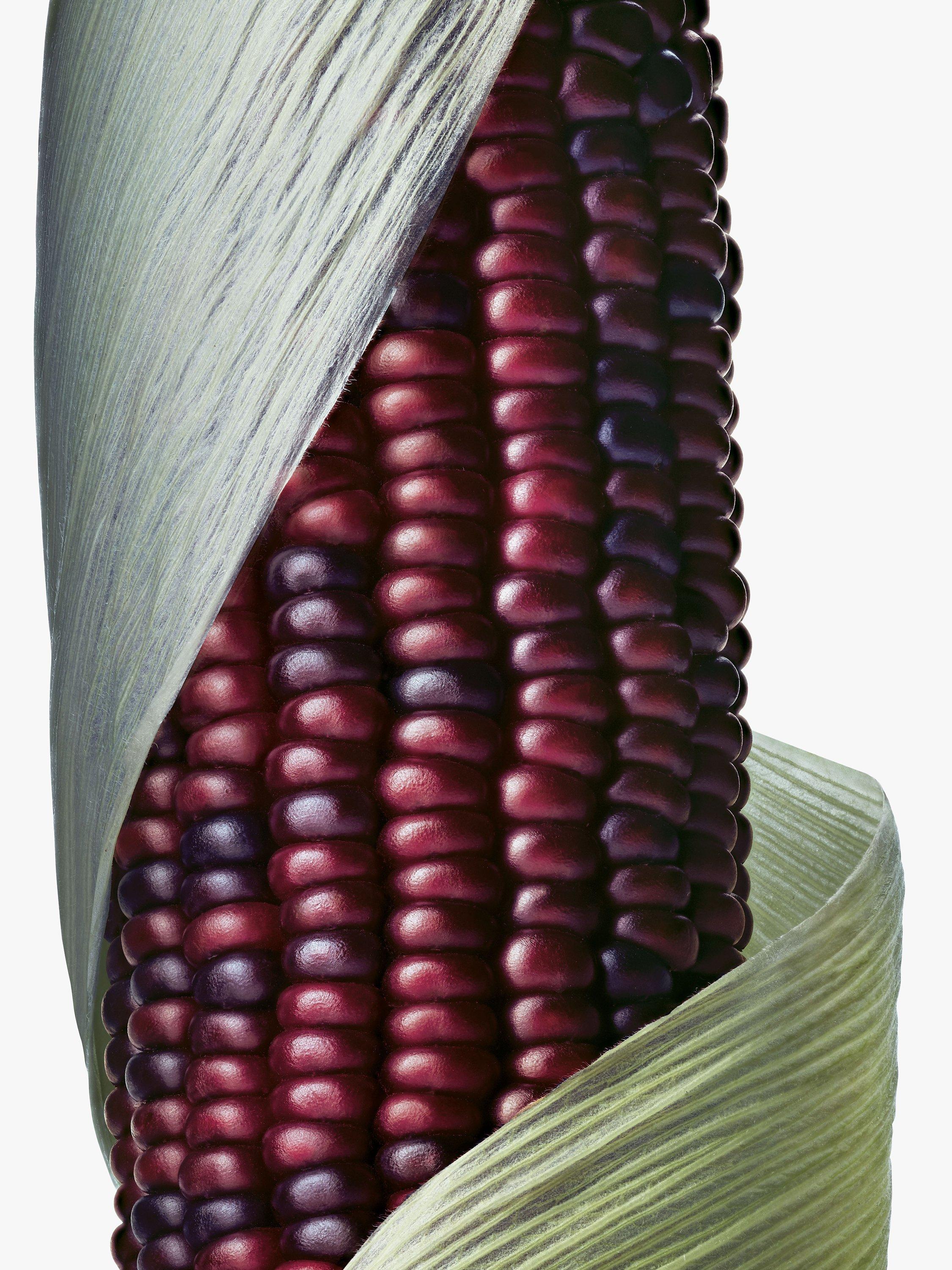 Product image 3 of 5, which shows Aveda Botanical Repair Intensive Strengthening Masque, Light, 25ml