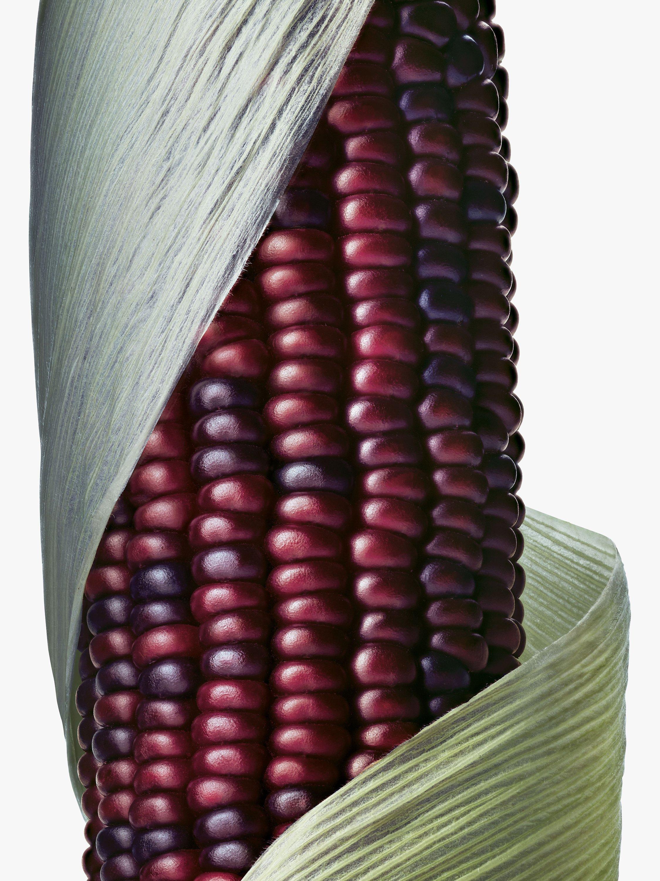 Product image 5 of 9, which shows Aveda Botanical Repair Strengthening Leave-In Treatment, 25ml
