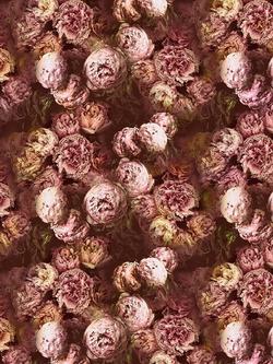 Designers Guild Vespertina Furnishing Fabric, Sepia