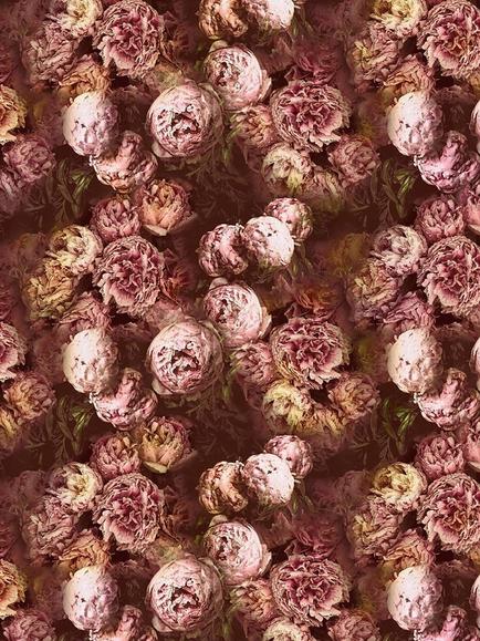Designers Guild Vespertina Furnishing Fabric, Sepia