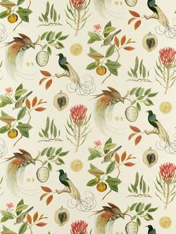 Sanderson Paradesia Furnishing Fabric, Orange