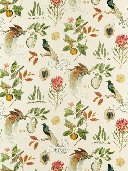 Sanderson Paradesia Furnishing Fabric, Orange