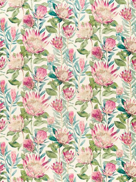 Sanderson King Protea Furnishing Fabric, Rhodera