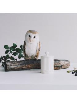 Jo Malone London Wild Berry & Bramble Ceramic Candle, 300g - view 2, 