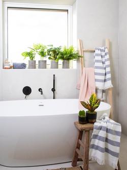 The Little Botanical Bathroom Plants - view 2, Multi