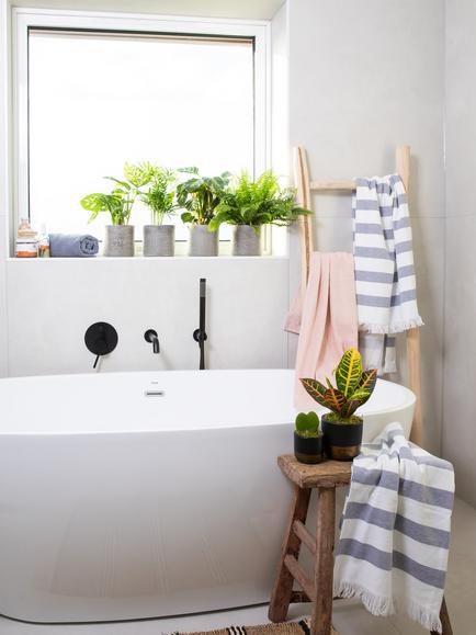 The Little Botanical Bathroom Plants - view 2, Multi