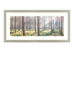 John Lewis Assaf Frank 'Breaking Through' Framed Print & Mount, 52 x 107cm, Green/Multi, Green/Multi