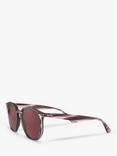 Ray-Ban RB4306 Unisex Oval Sunglasses