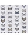 Galerie Jewel Butterflies Wallpaper