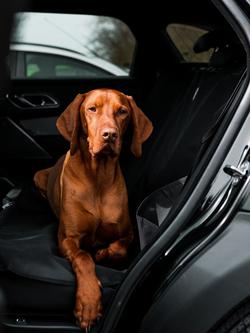 Danish Design Pet Car Seat Cover, Grey - view 2, Grey