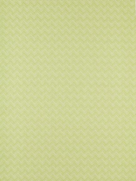 Sanderson Nelson Furnishing Fabric, Lime