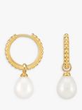 Dower & Hall Dotty Oval Pearl Charm Story Hoop Earrings