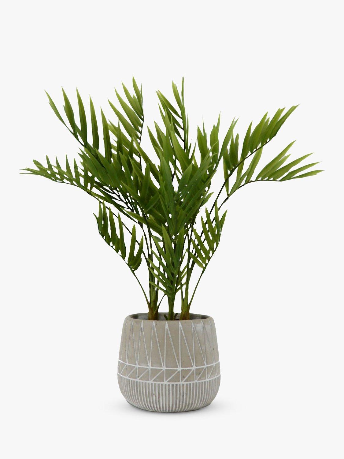 John Lewis Artificial Palm Plant in Cement Pot