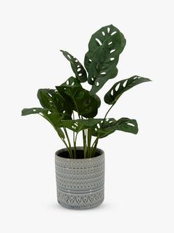 John Lewis Artificial Monstera in Ceramic Pot, 