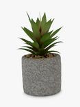John Lewis Artificial Mini Aloe Vera in Cement Pot