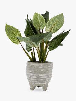 John Lewis Artificial Evergreen Leaves in Footed Pot, 