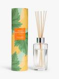 John Lewis Pear & Blackcurrant Leaf Reed Diffuser, 100ml