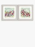 John Lewis Catherine Stephenson Poppy & Daisy Framed Print & Mount, Set of 2, 60.5 x 60.5cm, Red/Multi