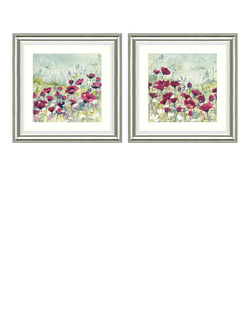 John Lewis Catherine Stephenson Poppy & Daisy Framed Print & Mount, Set of 2, 60.5 x 60.5cm, Red/Multi, Red/Multi