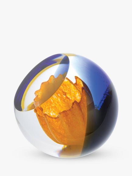 Caithness Daffodil Paperweight - view 2, Yellow/Blue