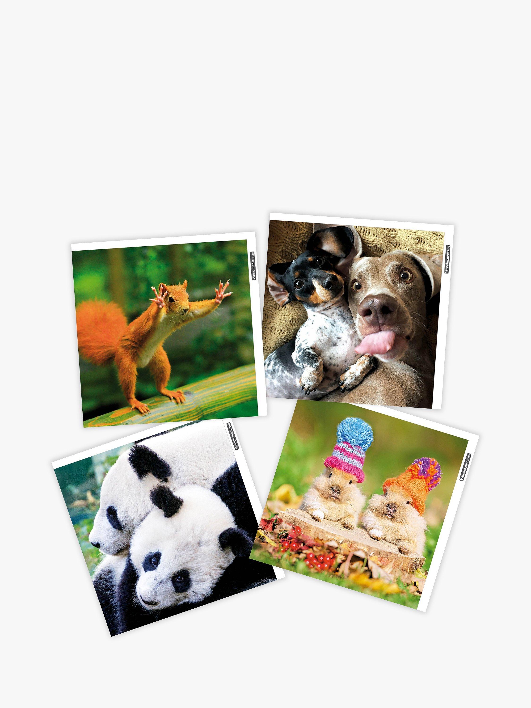 Woodmansterne Funny Animals Blank Greeting Cards, Pack of 4