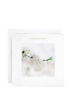 Susan O'Hanlon White Blossom Sympathy Card, Multi