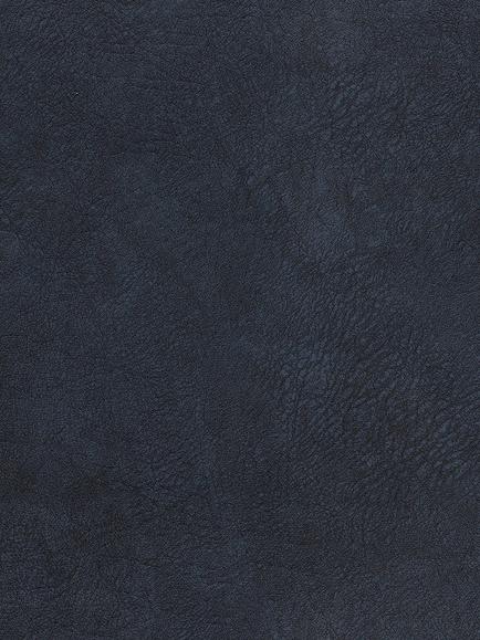 Osborne & Little Caresse Furnishing Fabric, Ink