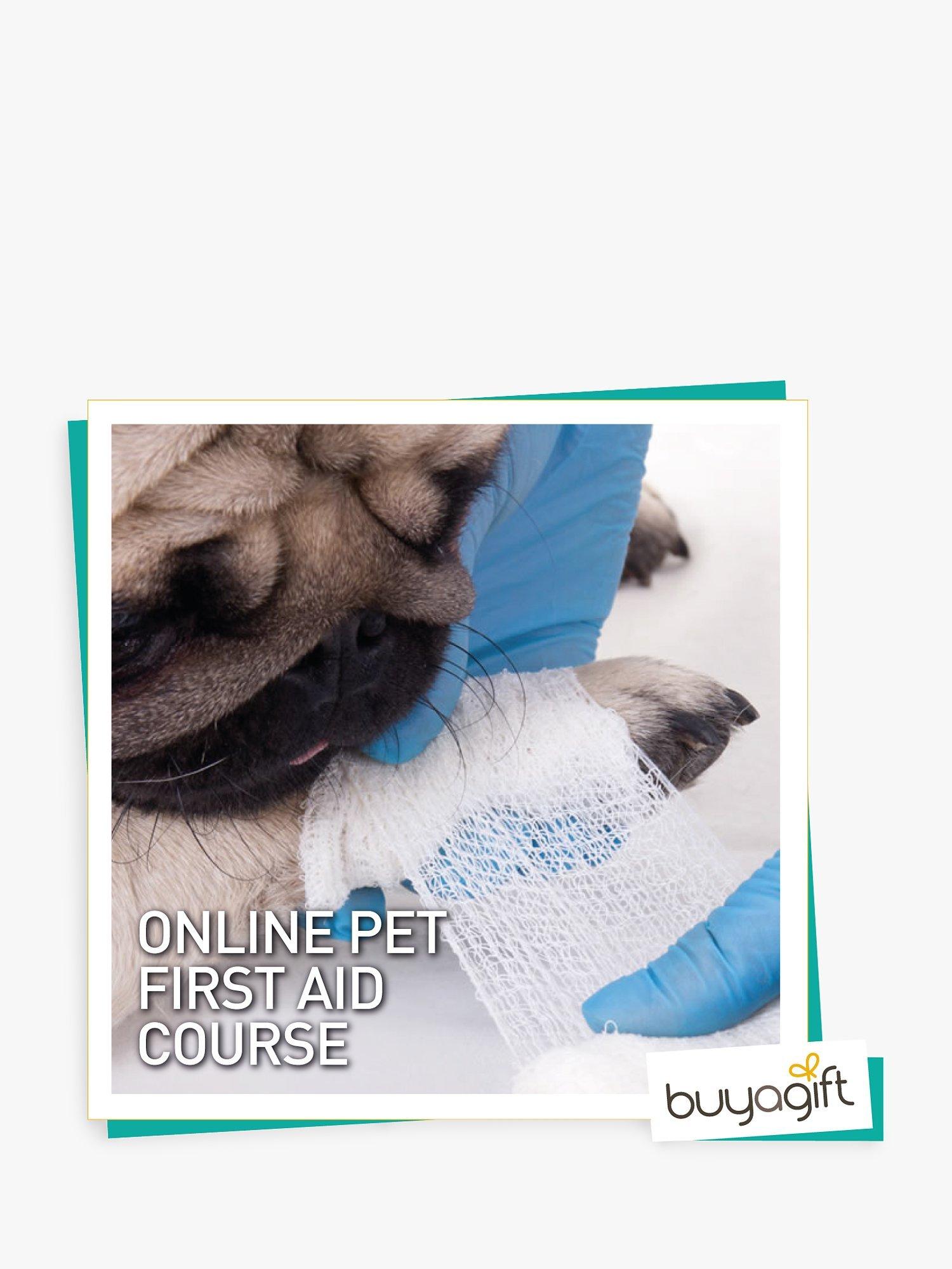 Buyagift Online Pet First Aid Course