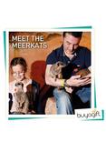 Buyagift Meet the Meerkats Gift Experience