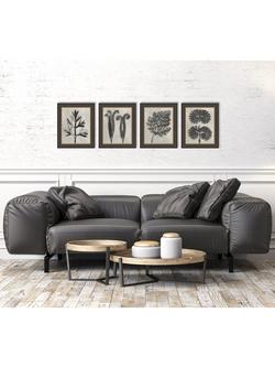 John Lewis Karl Blossfeldt 'Botanicals' Framed Prints, Set of 4, 37 x 31cm, Grey - view 2, Grey