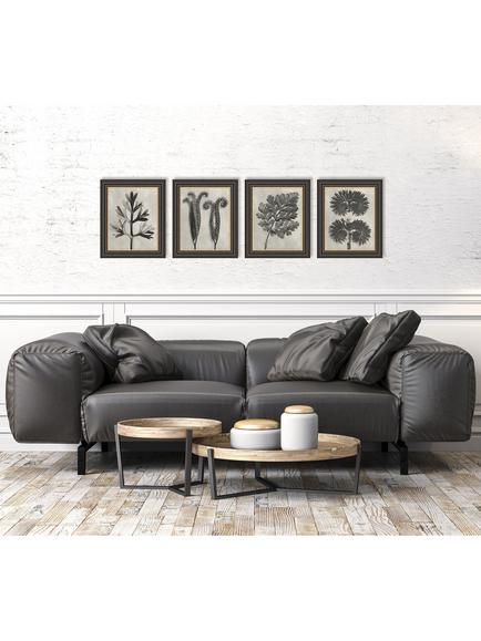 John Lewis Karl Blossfeldt 'Botanicals' Framed Prints, Set of 4, 37 x 31cm, Grey - view 2, Grey