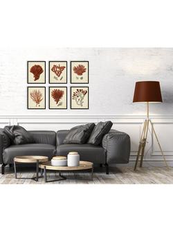 John Lewis 'Red Coral' Framed Print & Mount, Set of 6, 32 x 26cm, Red - view 2, Red