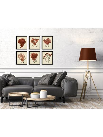 John Lewis 'Red Coral' Framed Print & Mount, Set of 6, 32 x 26cm, Red - view 2, Red