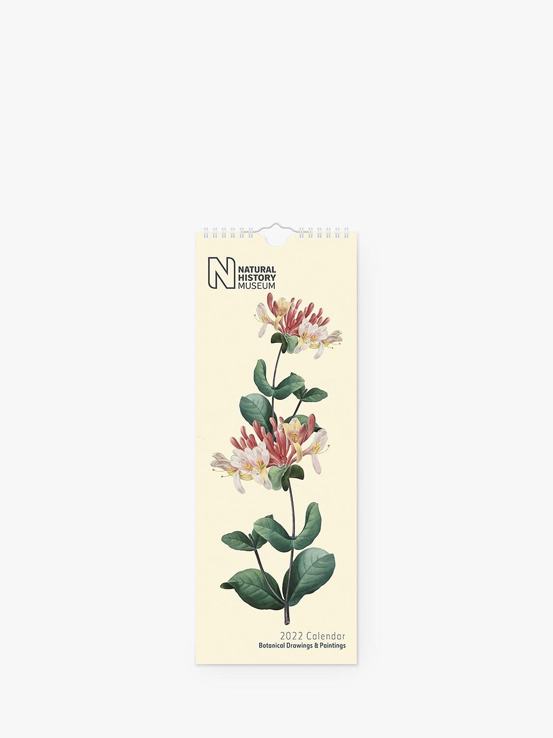 Natural History Museum Slim Botanical Drawings Calendar, 2022