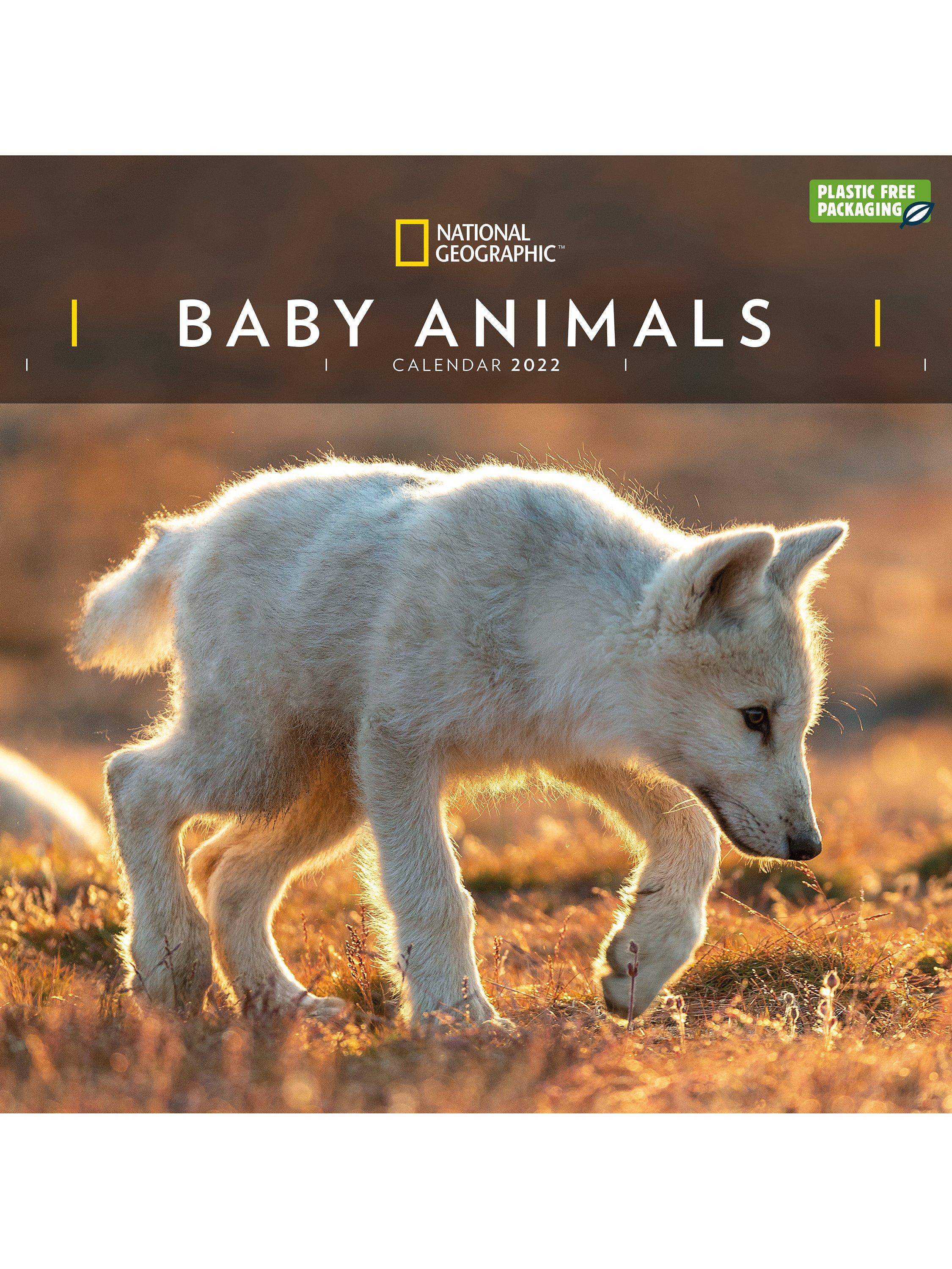National Geographic Baby Animals Calendar, 2022